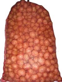 mesh onion sacks